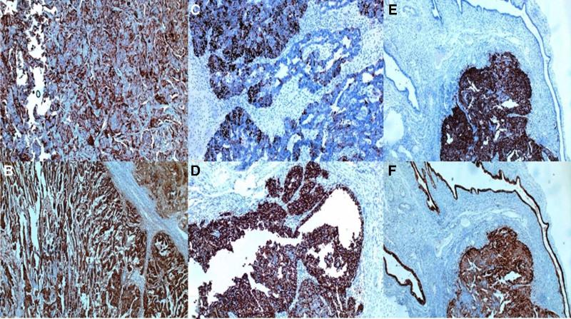 https://cdn.ncbi.nlm.nih.gov/pmc/blobs/6680/12212836/58a538ef9f18/medi-104-e43110-g002.jpg