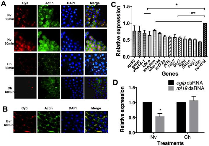 https://cdn.ncbi.nlm.nih.gov/pmc/blobs/6683/4346973/72d19c1f23fd/srep08700-f4.jpg