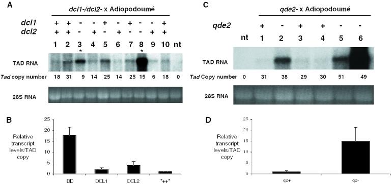 https://cdn.ncbi.nlm.nih.gov/pmc/blobs/6685/1065258/1b2c88ed6431/gki300f3.jpg