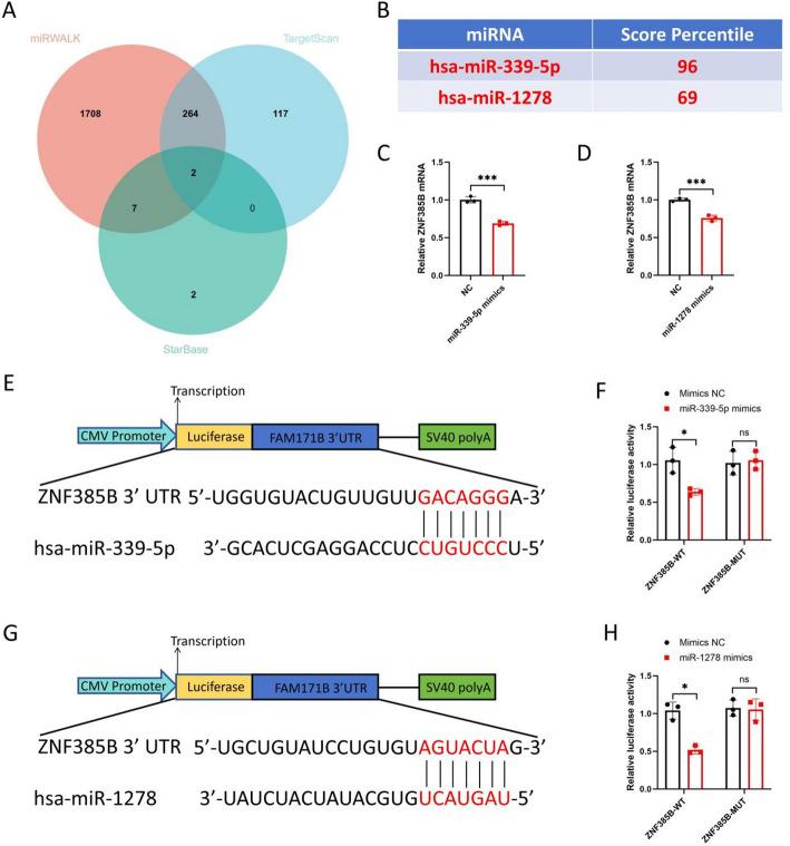 https://cdn.ncbi.nlm.nih.gov/pmc/blobs/6686/12321708/c12b89192354/12672_2025_3188_Fig17_HTML.jpg