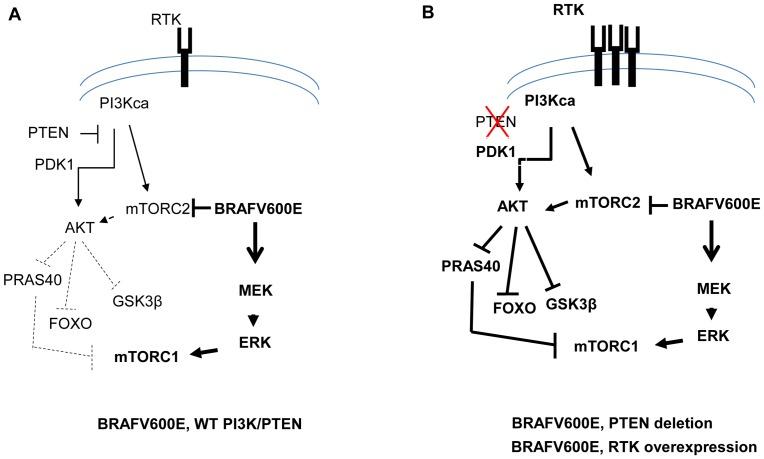 https://cdn.ncbi.nlm.nih.gov/pmc/blobs/6686/3411810/5a9bf950a668/pone.0042598.g006.jpg