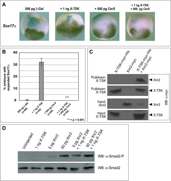 https://cdn.ncbi.nlm.nih.gov/pmc/blobs/6687/1994590/4571a07192b0/pone.0001004.g007.jpg