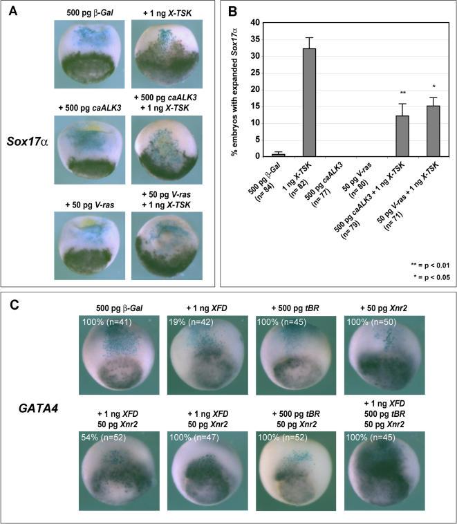 https://cdn.ncbi.nlm.nih.gov/pmc/blobs/6687/1994590/589418032fe5/pone.0001004.g009.jpg