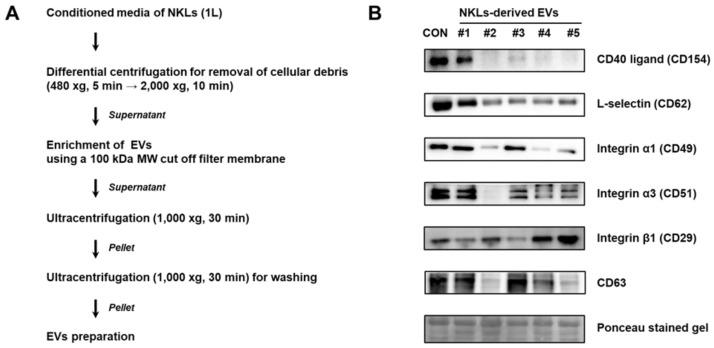 https://cdn.ncbi.nlm.nih.gov/pmc/blobs/6687/7664935/325349495ee3/molecules-25-05216-g002.jpg