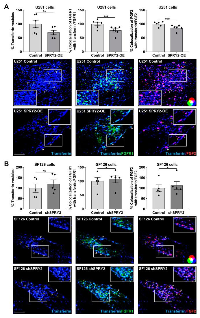 https://cdn.ncbi.nlm.nih.gov/pmc/blobs/668c/11639775/b2bca0d19a7b/cells-13-01967-g006.jpg