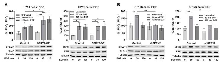 https://cdn.ncbi.nlm.nih.gov/pmc/blobs/668c/11639775/c13e612dd54c/cells-13-01967-g011.jpg