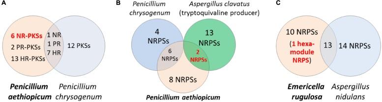 https://cdn.ncbi.nlm.nih.gov/pmc/blobs/668c/4294208/0c361e80e2f3/fmicb-05-00774-g003.jpg