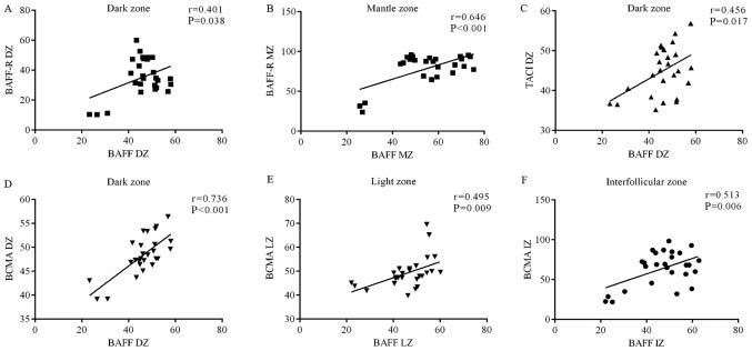 https://cdn.ncbi.nlm.nih.gov/pmc/blobs/668e/6364250/862ecae81097/etm-17-03-2053-g05.jpg