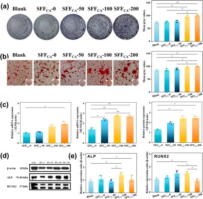 https://cdn.ncbi.nlm.nih.gov/pmc/blobs/668f/12018372/5afc68584a1c/fbioe-13-1584081-g007.jpg