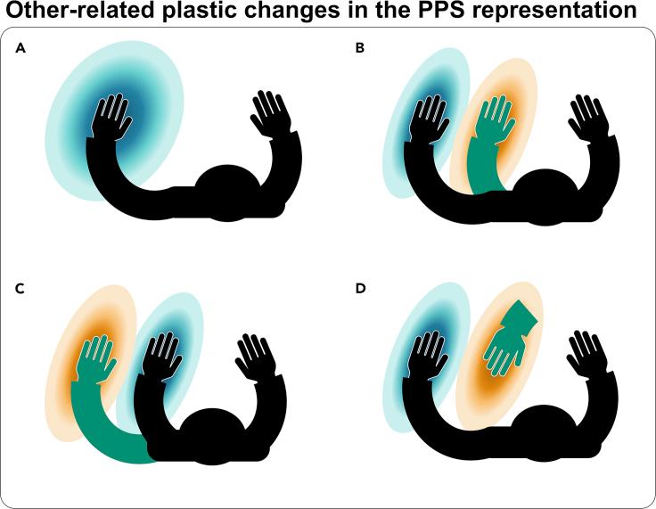 https://cdn.ncbi.nlm.nih.gov/pmc/blobs/668f/9840938/8d5a67166c96/gr8.jpg