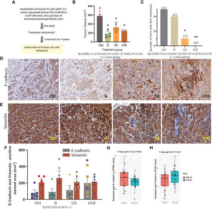 https://cdn.ncbi.nlm.nih.gov/pmc/blobs/6692/9794594/a3e4259c7dbb/fimmu-13-1060957-g014.jpg