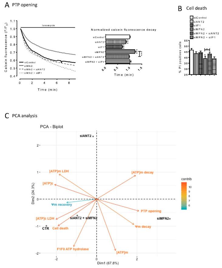 https://cdn.ncbi.nlm.nih.gov/pmc/blobs/6693/7760820/eb17d085f2b6/cells-09-02542-g007.jpg