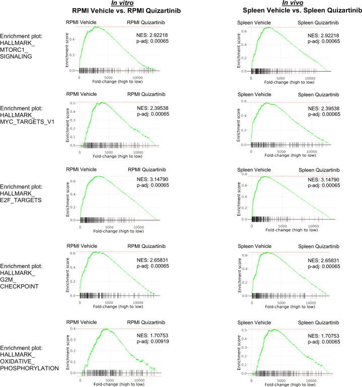 https://cdn.ncbi.nlm.nih.gov/pmc/blobs/6694/9645811/416d1425cdd2/elife-79940-fig2-figsupp2.jpg