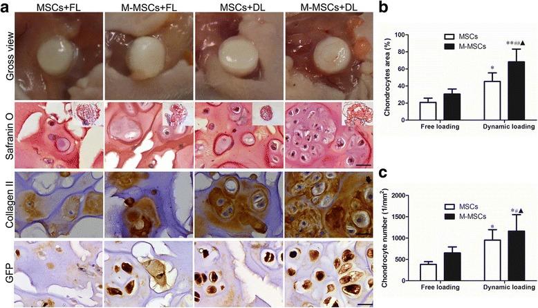 https://cdn.ncbi.nlm.nih.gov/pmc/blobs/6695/5627486/0358aa6d2fad/13287_2017_672_Fig4_HTML.jpg
