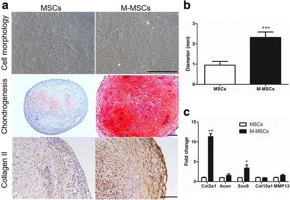 https://cdn.ncbi.nlm.nih.gov/pmc/blobs/6695/5627486/1465b53e4e24/13287_2017_672_Fig2_HTML.jpg