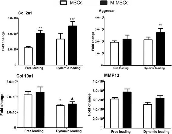 https://cdn.ncbi.nlm.nih.gov/pmc/blobs/6695/5627486/a884782c6b7a/13287_2017_672_Fig6_HTML.jpg