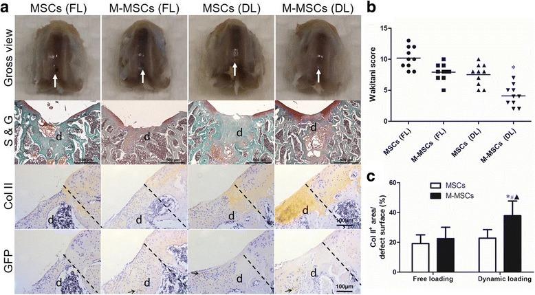 https://cdn.ncbi.nlm.nih.gov/pmc/blobs/6695/5627486/d1f96c572ae1/13287_2017_672_Fig7_HTML.jpg