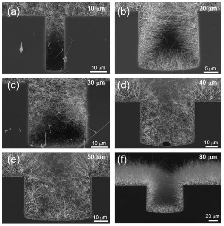 https://cdn.ncbi.nlm.nih.gov/pmc/blobs/6696/10532950/988bfe884104/materials-16-06233-g007.jpg
