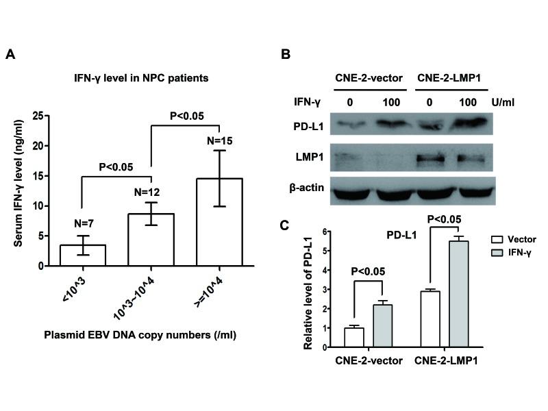https://cdn.ncbi.nlm.nih.gov/pmc/blobs/6696/4322961/a5aa4de1b4a1/oncotarget-05-12189-g005.jpg