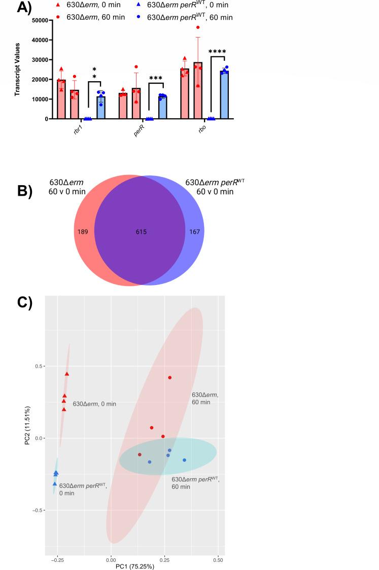 https://cdn.ncbi.nlm.nih.gov/pmc/blobs/6699/11841134/f44e555b8b3e/jb.00468-24.f003.jpg