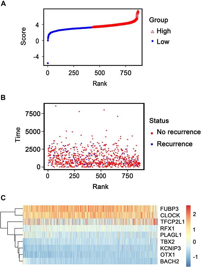https://cdn.ncbi.nlm.nih.gov/pmc/blobs/6699/7193038/95d202aa920f/fgene-11-00333-g006.jpg