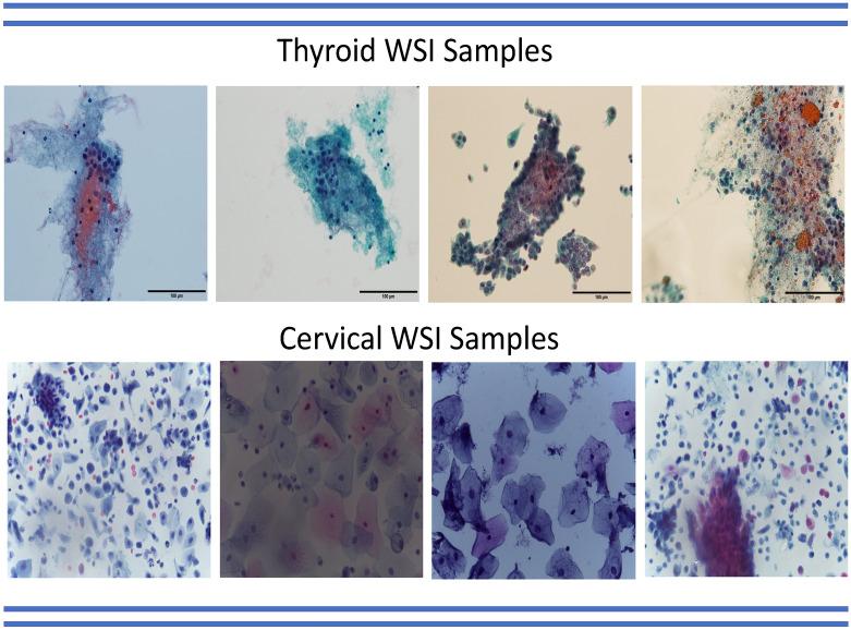 https://cdn.ncbi.nlm.nih.gov/pmc/blobs/669a/11519499/cd79418cc53a/41598_2024_76512_Fig3_HTML.jpg