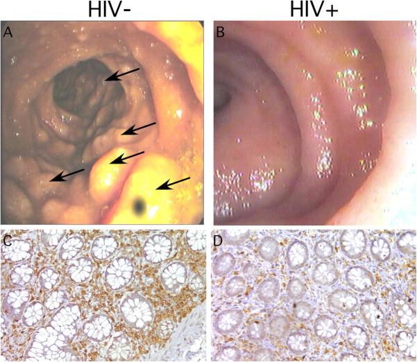 https://cdn.ncbi.nlm.nih.gov/pmc/blobs/669a/2211962/7f2876dfed43/20040874f2.jpg