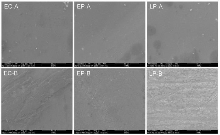 https://cdn.ncbi.nlm.nih.gov/pmc/blobs/669b/10142931/2a45741779f0/materials-16-02950-g001.jpg
