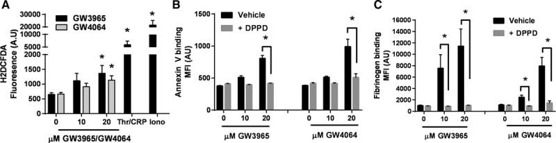 https://cdn.ncbi.nlm.nih.gov/pmc/blobs/669c/5526435/3658b0976912/atv-37-1482-g006.jpg