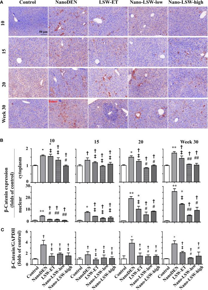 https://cdn.ncbi.nlm.nih.gov/pmc/blobs/669c/7365909/67db5e0f3272/fphar-11-01052-g007.jpg