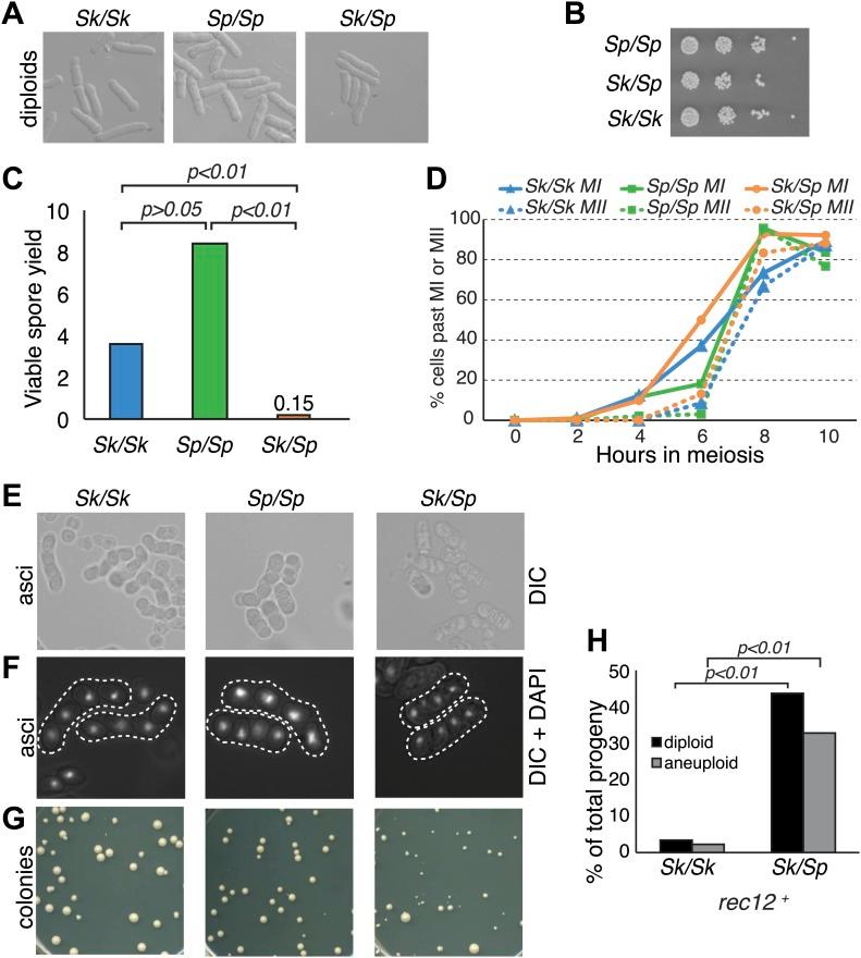https://cdn.ncbi.nlm.nih.gov/pmc/blobs/669d/4066438/c16d4ba0505f/elife02630f001.jpg