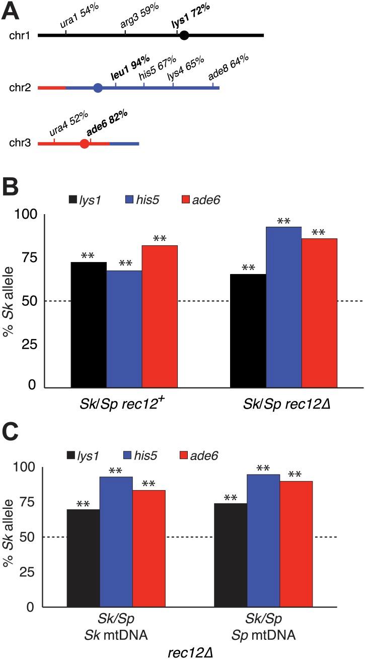 https://cdn.ncbi.nlm.nih.gov/pmc/blobs/669d/4066438/e38527e72057/elife02630f006.jpg