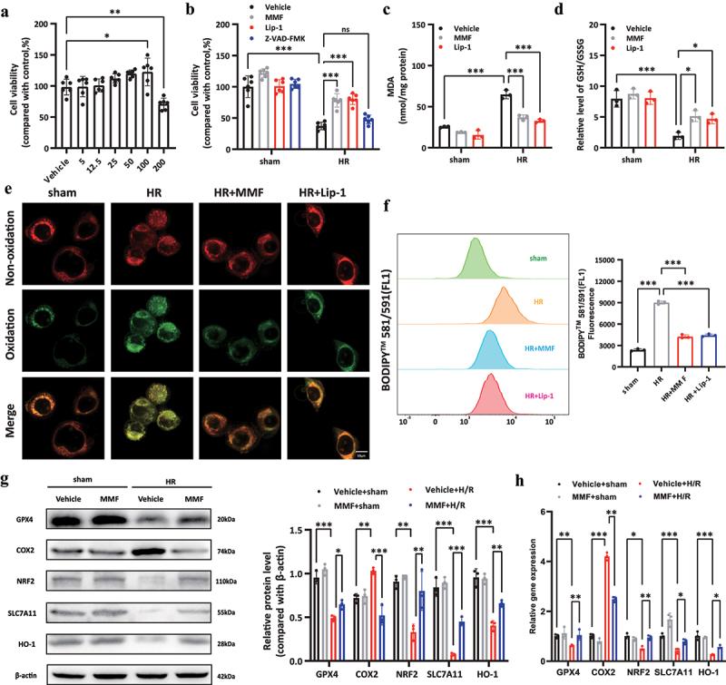 https://cdn.ncbi.nlm.nih.gov/pmc/blobs/669e/10026899/7d19ea5b3fbc/KCCY_A_2155016_F0003_C.jpg