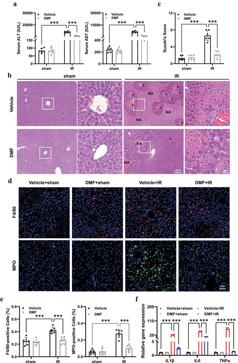 https://cdn.ncbi.nlm.nih.gov/pmc/blobs/669e/10026899/d3af5da04b50/KCCY_A_2155016_F0001_C.jpg
