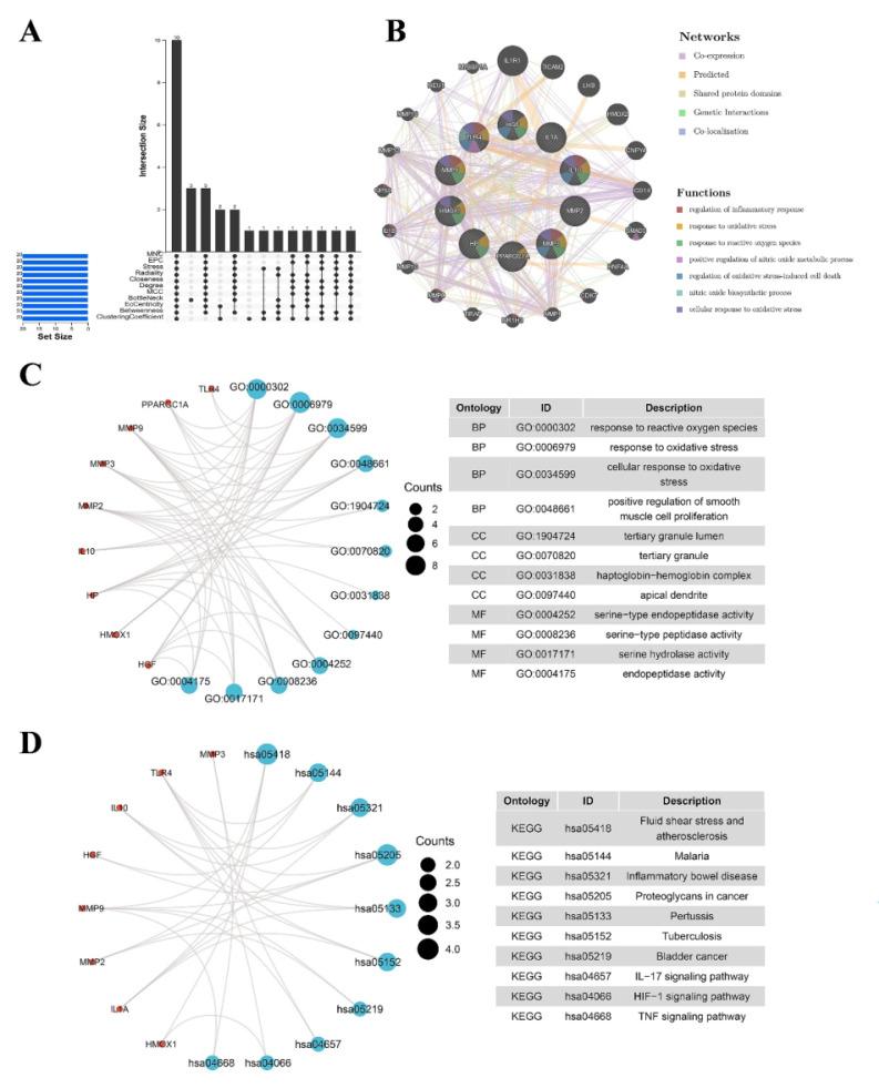 https://cdn.ncbi.nlm.nih.gov/pmc/blobs/669e/12035842/2bd27c797d60/ijmsv22p2139g003.jpg