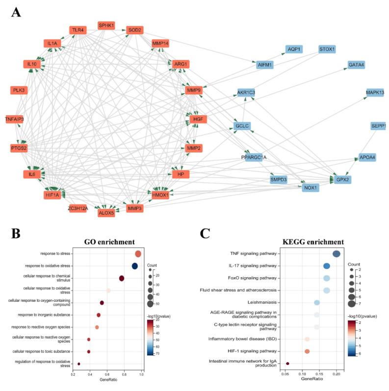 https://cdn.ncbi.nlm.nih.gov/pmc/blobs/669e/12035842/660aabec91b4/ijmsv22p2139g002.jpg