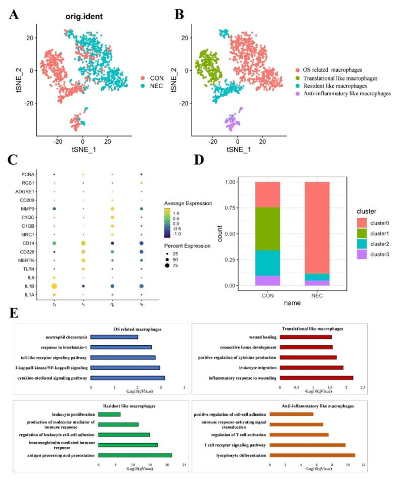 https://cdn.ncbi.nlm.nih.gov/pmc/blobs/669e/12035842/b028b1370ae3/ijmsv22p2139g005.jpg