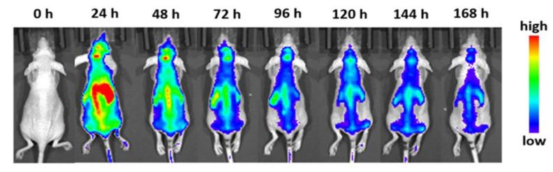 https://cdn.ncbi.nlm.nih.gov/pmc/blobs/669e/12113794/20229b4f59c8/nanomaterials-15-00739-g005.jpg