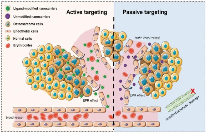 https://cdn.ncbi.nlm.nih.gov/pmc/blobs/669e/12113794/5be147bc0363/nanomaterials-15-00739-g003.jpg