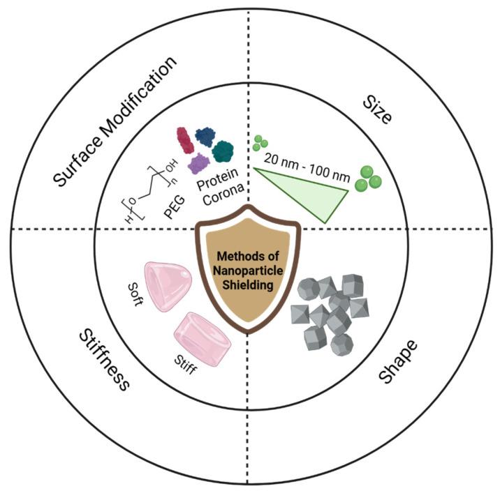 https://cdn.ncbi.nlm.nih.gov/pmc/blobs/669e/12113794/7342de050812/nanomaterials-15-00739-g002.jpg