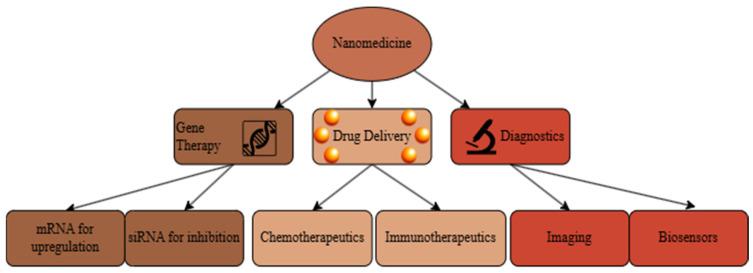 https://cdn.ncbi.nlm.nih.gov/pmc/blobs/669e/12113794/e586beb4d3f7/nanomaterials-15-00739-g001.jpg