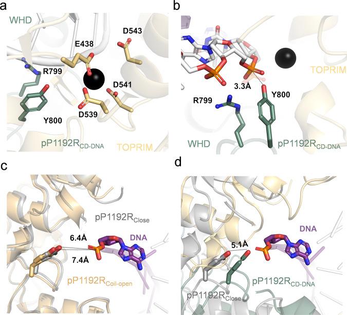 https://cdn.ncbi.nlm.nih.gov/pmc/blobs/66a0/11139879/1e267560fb16/41467_2024_49047_Fig5_HTML.jpg