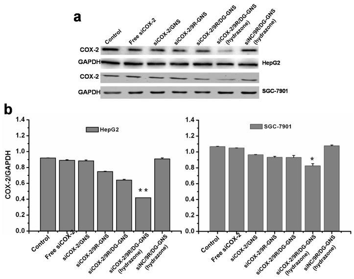 https://cdn.ncbi.nlm.nih.gov/pmc/blobs/66a0/5666711/532031113a5b/ijms-18-02029-g006.jpg