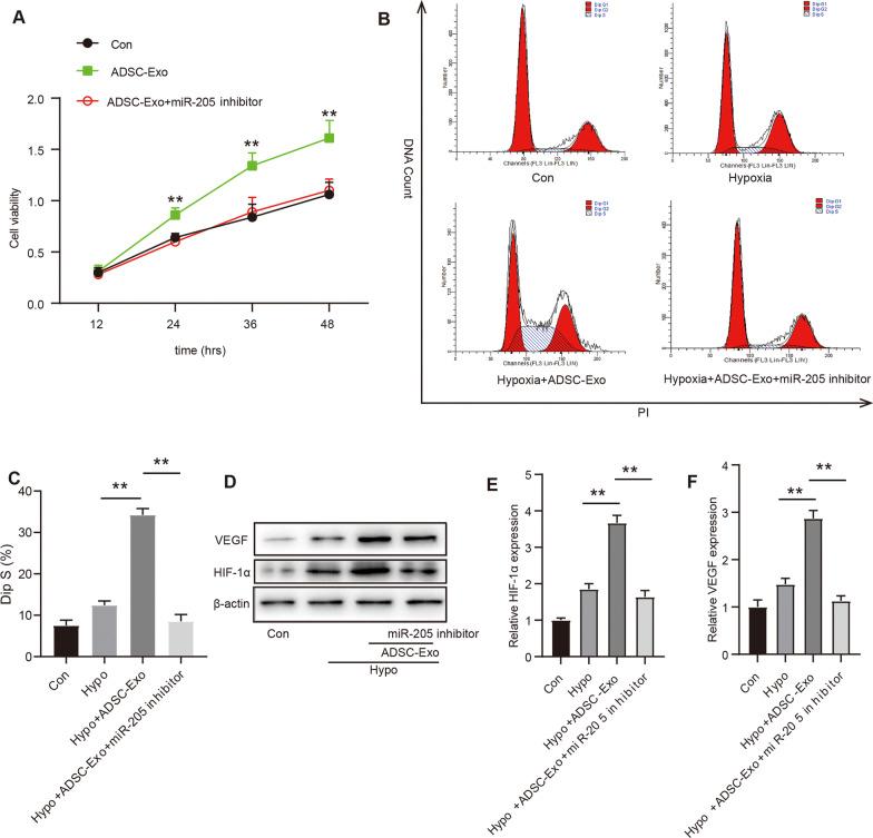 https://cdn.ncbi.nlm.nih.gov/pmc/blobs/66a1/9972746/847ee580066b/13062_2023_361_Fig6_HTML.jpg