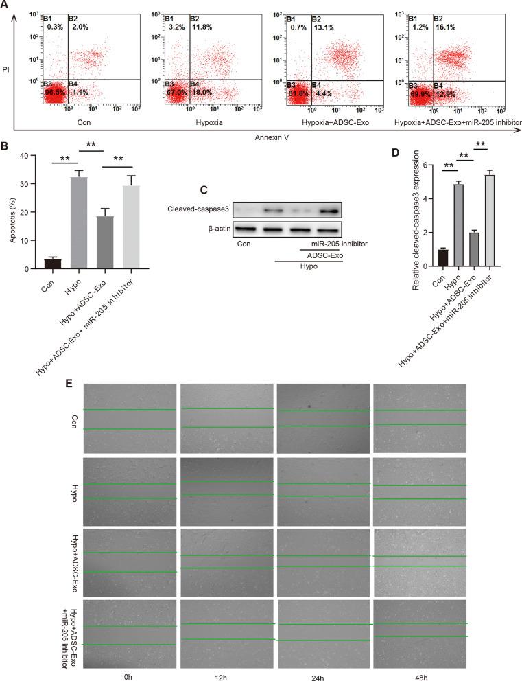 https://cdn.ncbi.nlm.nih.gov/pmc/blobs/66a1/9972746/ac9fd98db284/13062_2023_361_Fig7_HTML.jpg
