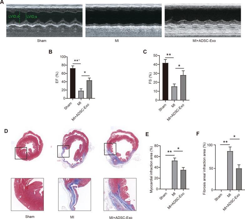 https://cdn.ncbi.nlm.nih.gov/pmc/blobs/66a1/9972746/c0a779b32271/13062_2023_361_Fig2_HTML.jpg