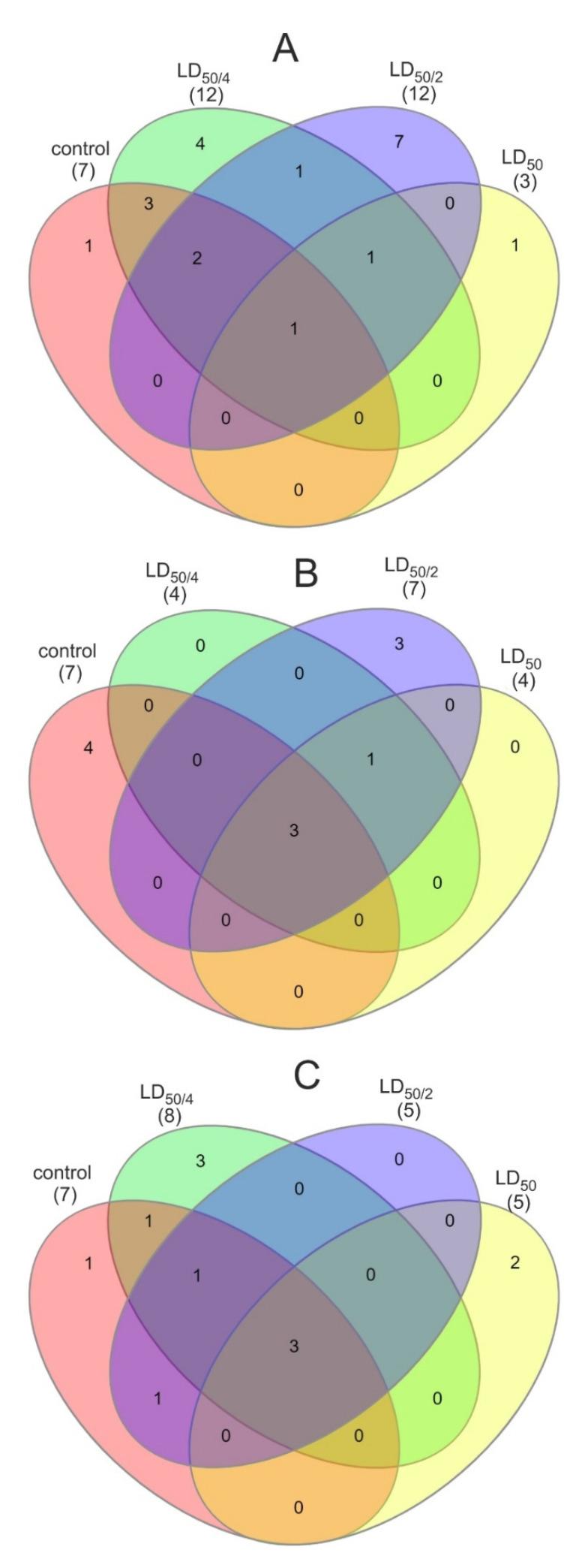 https://cdn.ncbi.nlm.nih.gov/pmc/blobs/66a2/7918839/a4b869bf5511/nanomaterials-11-00483-g002.jpg