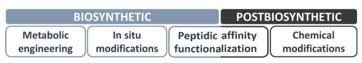 https://cdn.ncbi.nlm.nih.gov/pmc/blobs/66a3/8228158/0a3081c567a2/nanomaterials-11-01492-g006.jpg