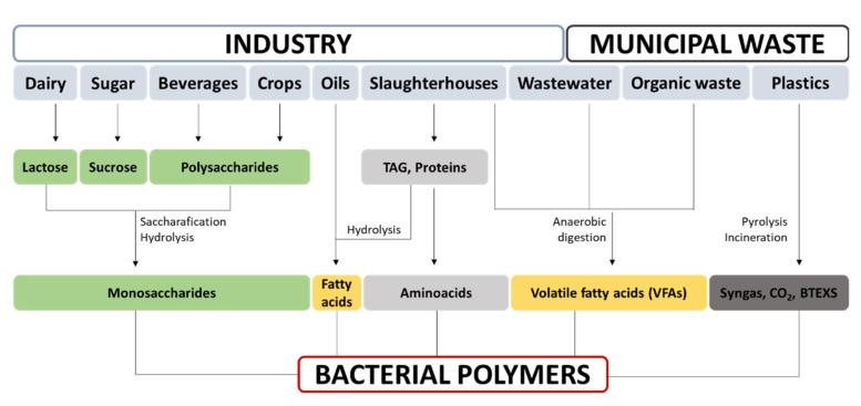 https://cdn.ncbi.nlm.nih.gov/pmc/blobs/66a3/8228158/6b5fe7f45883/nanomaterials-11-01492-g005.jpg