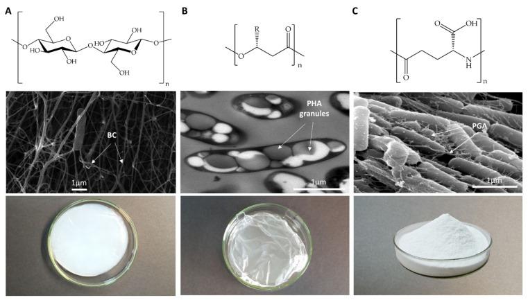 https://cdn.ncbi.nlm.nih.gov/pmc/blobs/66a3/8228158/f55c634f14c9/nanomaterials-11-01492-g001.jpg
